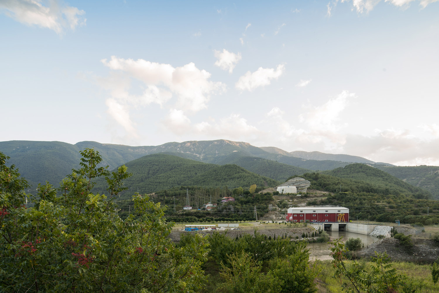 kale_hes_005 copy.jpg (342 KB)